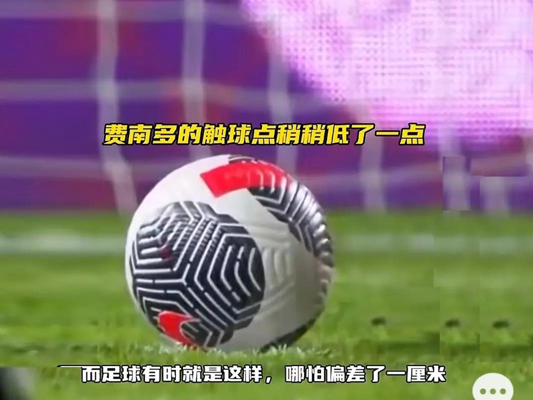 支持年轻球
