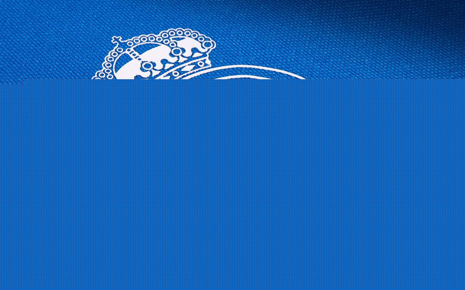 这些项目中 这些项目中