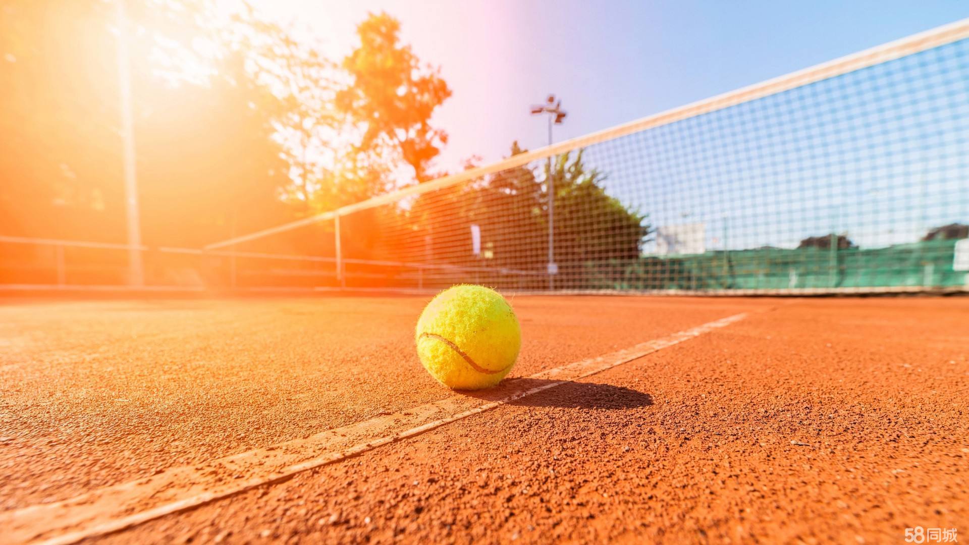 一步优化选 一步优化选