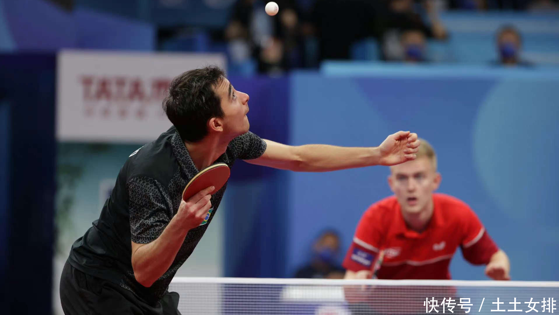 果断的出手 果断的出手