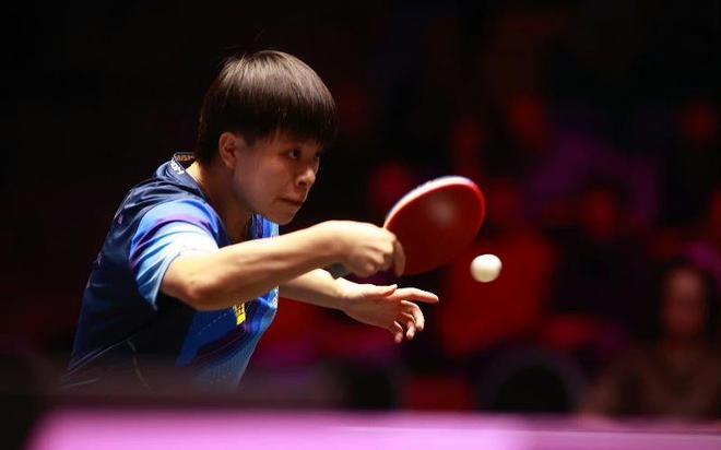 结果展示了 结果展示了